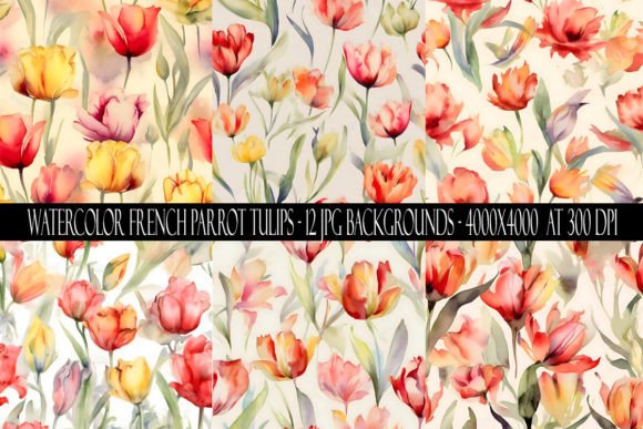 Elevate Your Designs with French Parrot Tulip Backgrounds